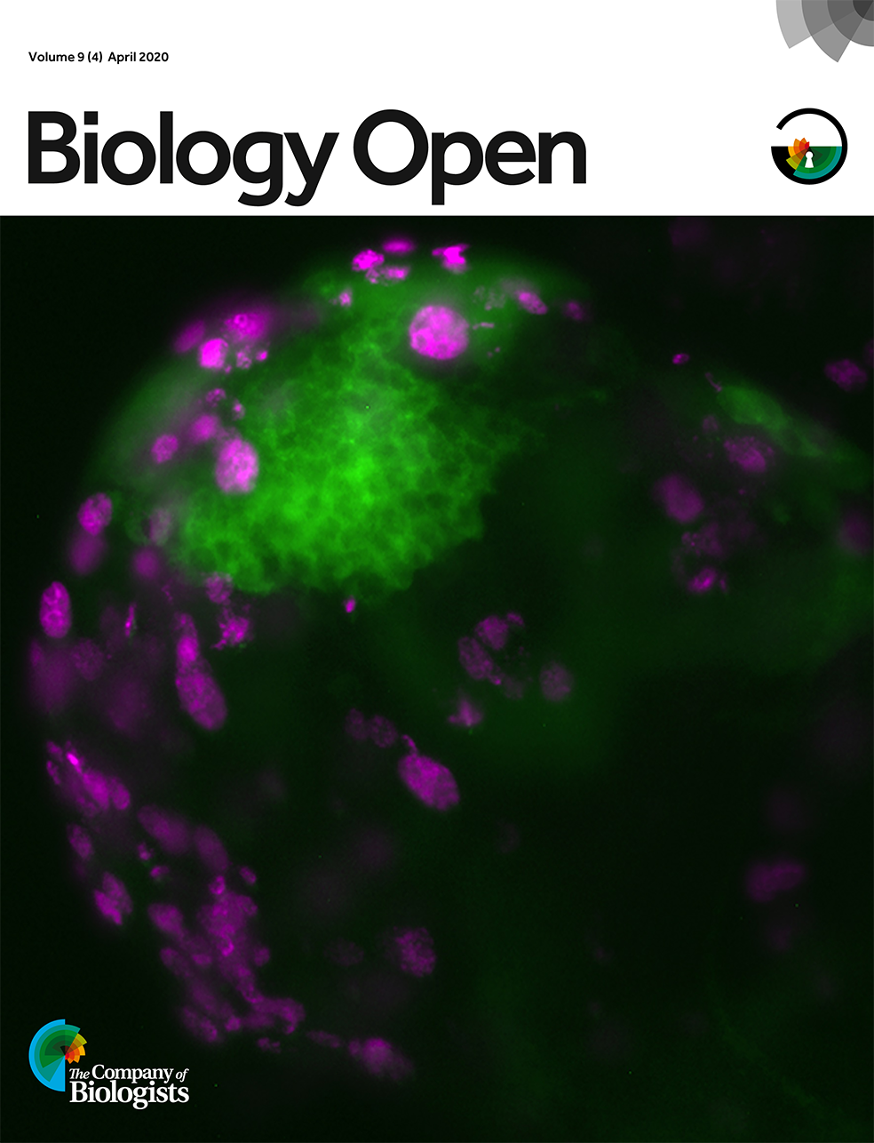 Biology Open Cover Biology Open Cover