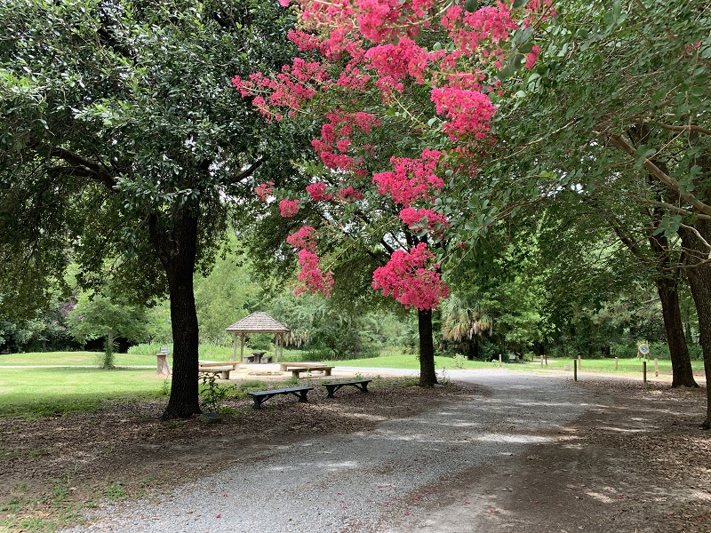 Barton Arboretum | LSU AgCenter Botanic Gardens