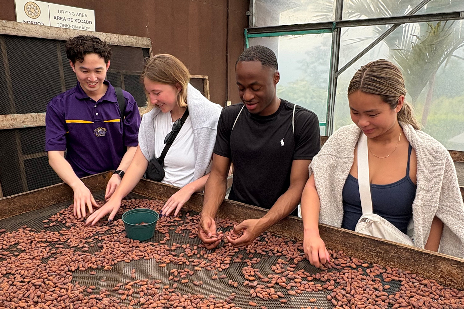students sorting cacao beans