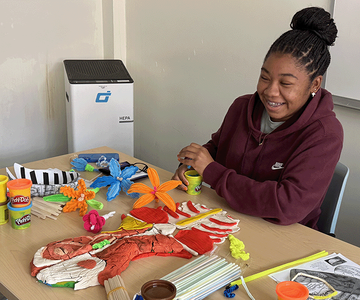 Summer Academy anatomy student sits in front of her anatomical rendition of a human chest made out of playdoh
