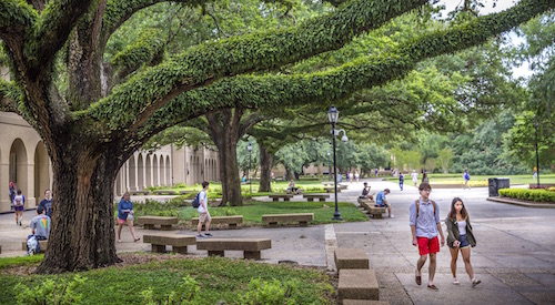 summer in quad