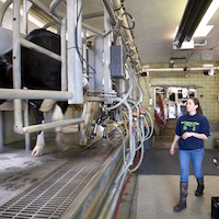 Students work on agricultural project.