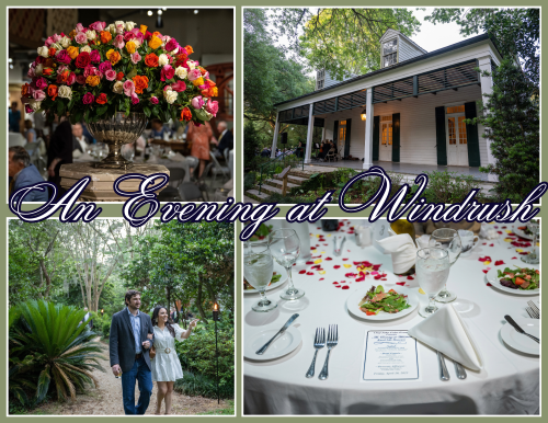 College of pictures from the event An Evening at Windrush