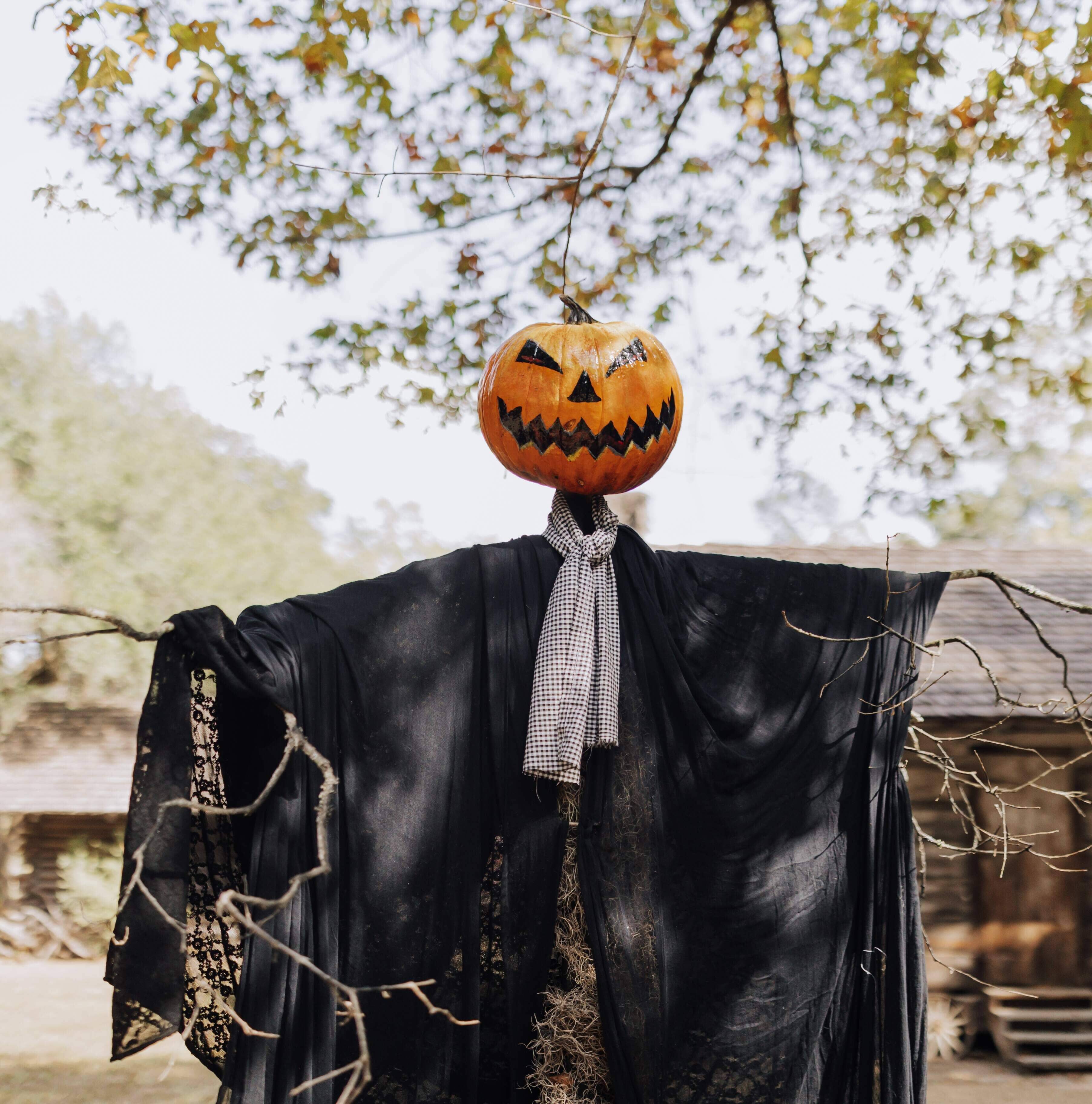 Pumpkin 