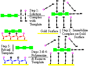 Molecular Imprinting in 2-D films