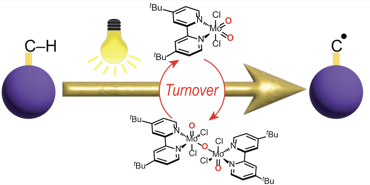 Direct photocatalytic C–H functionalization mediated by a molybdenum dioxo complex